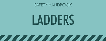 Safety Handbook - LADDERS course image